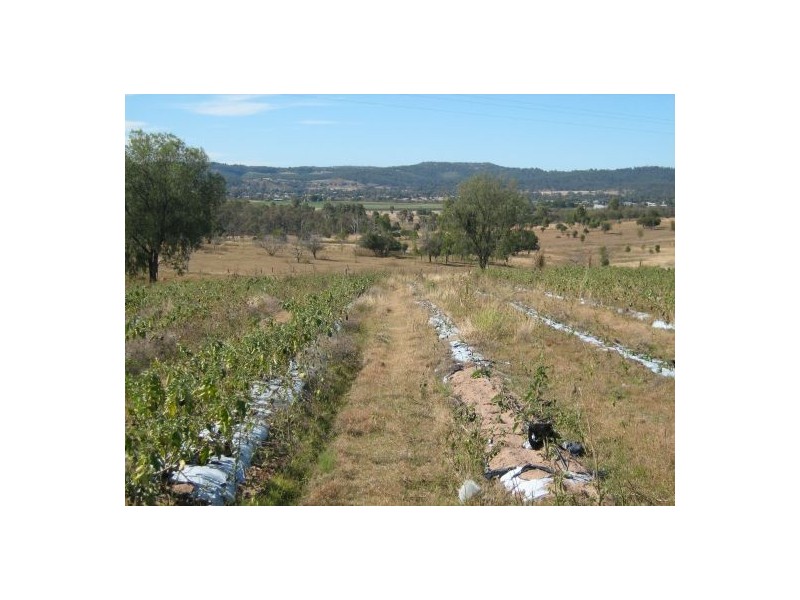 Laidley Heights QLD 4341