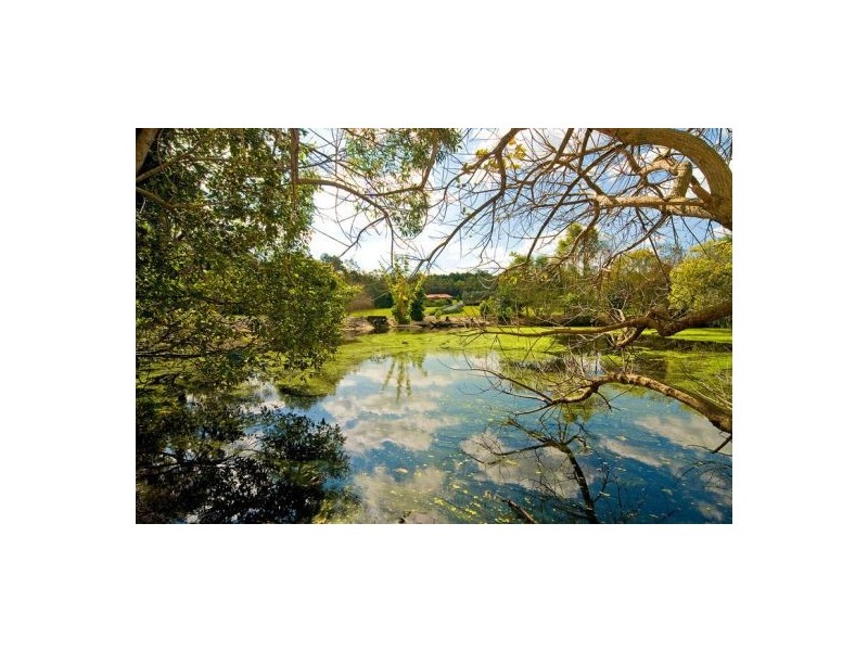 212 Rosia Rd, Park Ridge QLD 4125