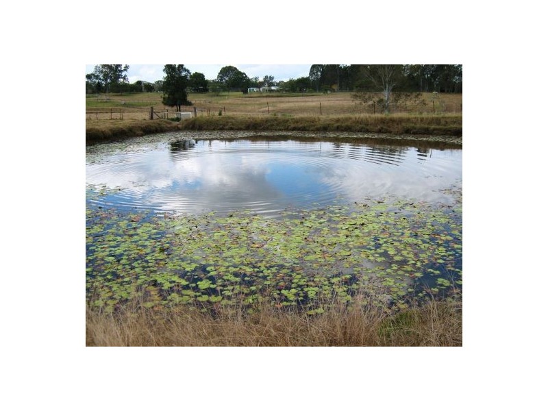 North Maclean QLD 4280