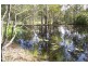 Jimboomba QLD 4280