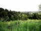 Summerholm QLD 4341