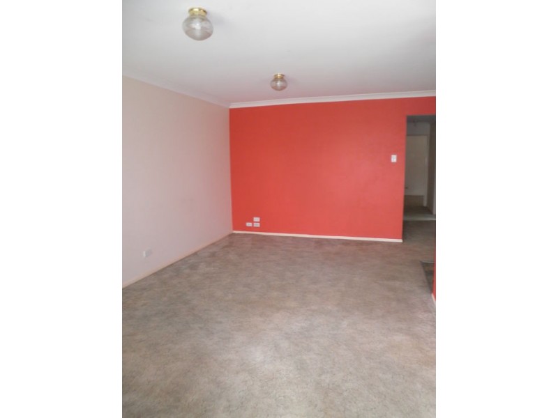 3 Tims Close, Sunnybank Hills QLD 4109