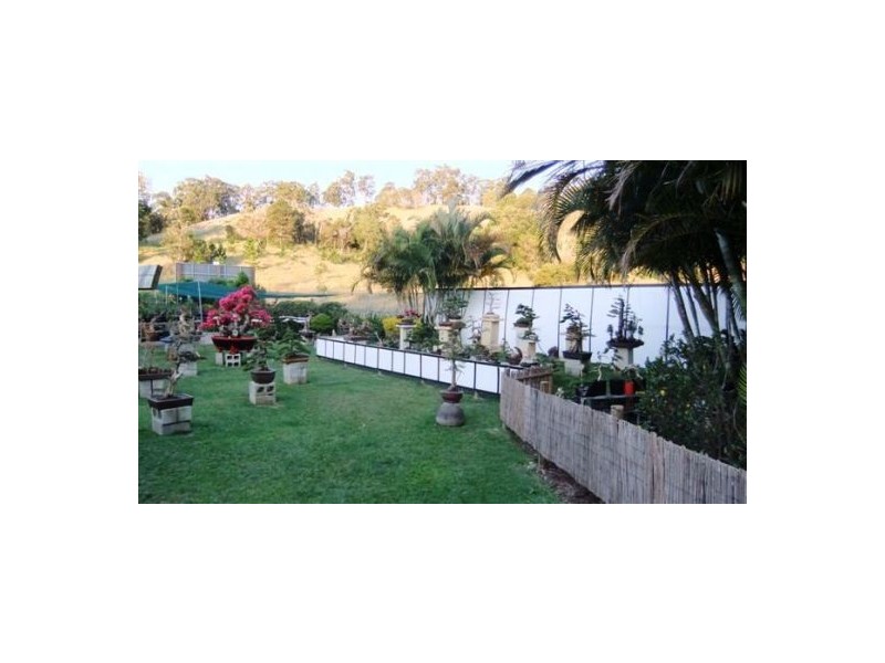 Currumbin QLD 4223