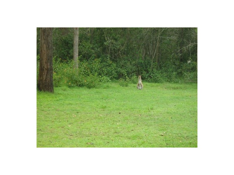 99 Smith Rd, Park Ridge South QLD 4125