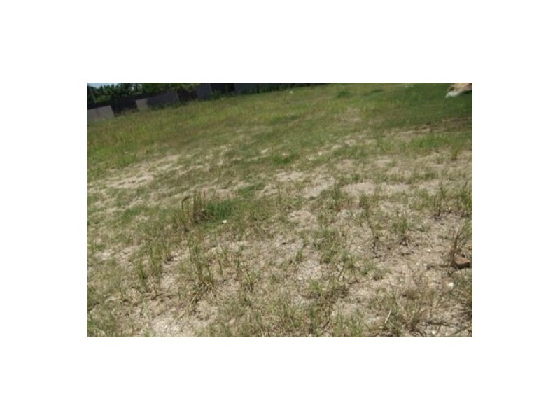 Hope Island QLD 4212