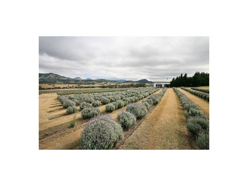 Mount Alford QLD 4310