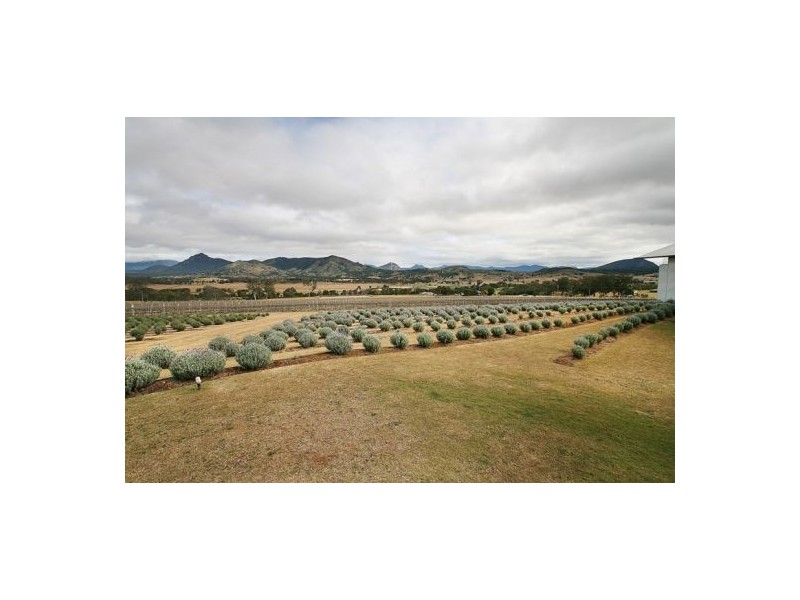 Mount Alford QLD 4310