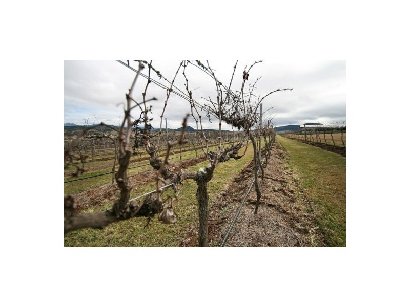 Mount Alford QLD 4310