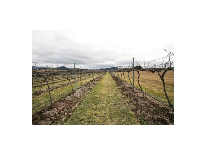 Mount Alford QLD 4310