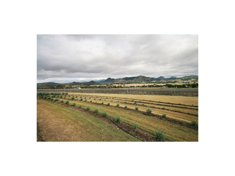 Mount Alford QLD 4310