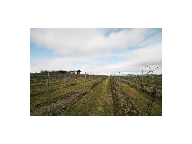 Mount Alford QLD 4310