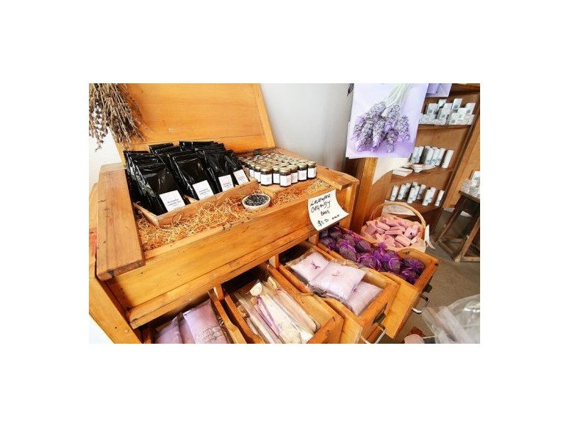 Mount Alford QLD 4310