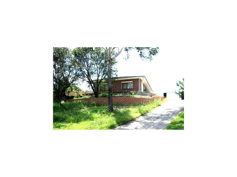 Tugun QLD 4224