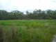 Park Ridge QLD 4125