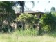 27 Taylors Rd, Walloon QLD 4306