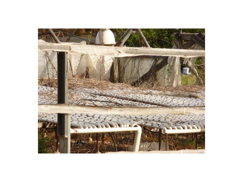 65 Eastwood St, Chandler QLD 4155