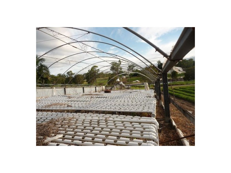 65 Eastwood St, Chandler QLD 4155