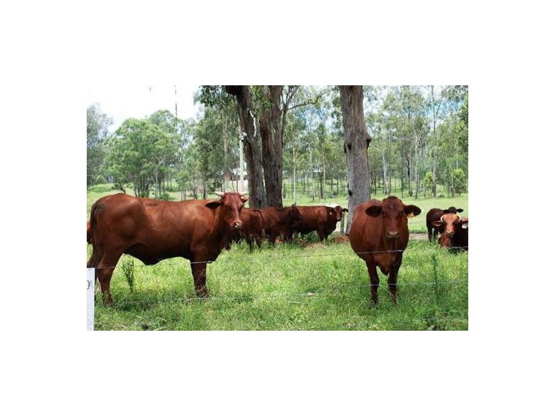 South Maclean QLD 4280