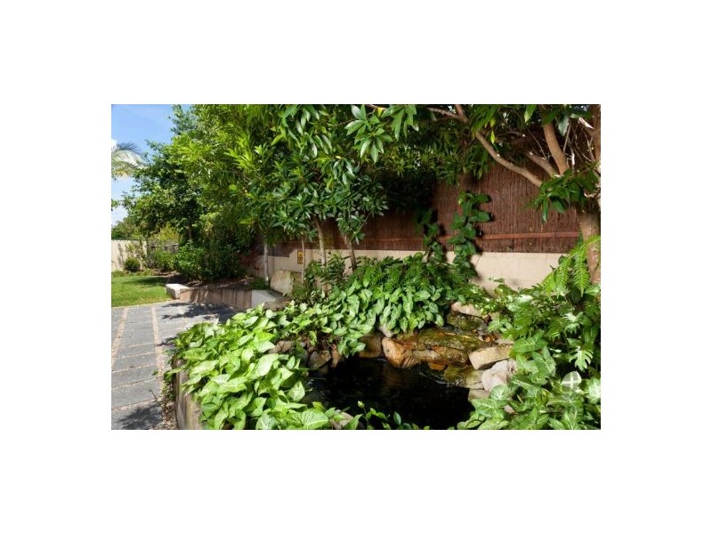 65. Calliope Street, Runcorn QLD 4113