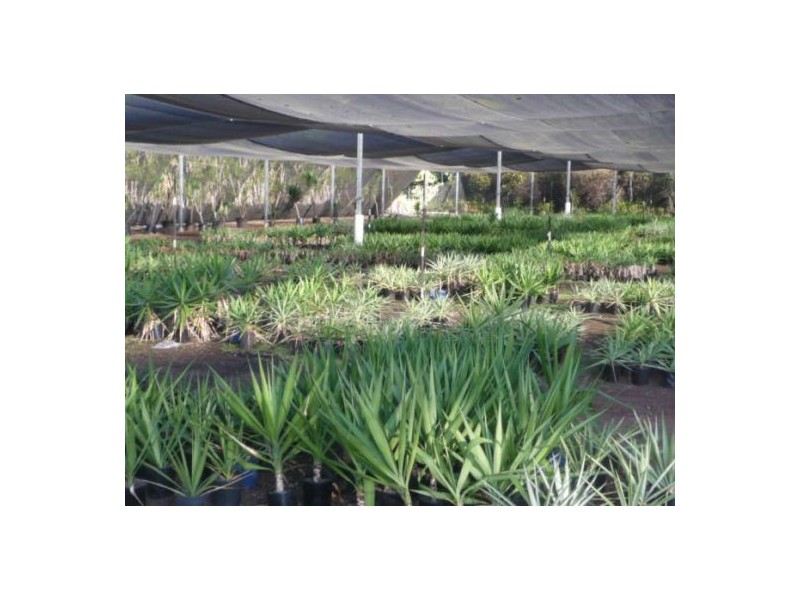 Rochedale QLD 4123