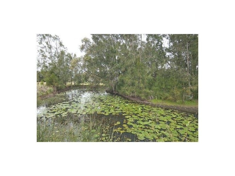 13 Fischer Rd, Carbrook QLD 4130