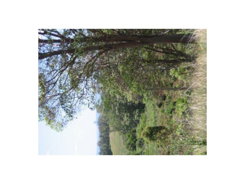 912-1060 Campbells Pocket Rd, Mount Mee QLD 4521