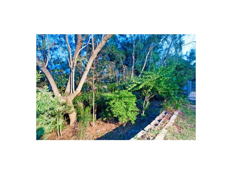 24 Tarcoola St, Rochedale South QLD 4123