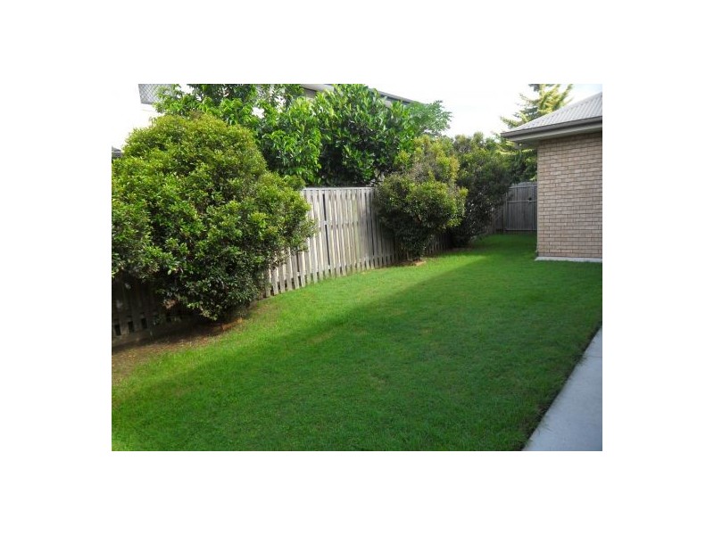 7 Hoop Pine Pl, Sunnybank Hills QLD 4109