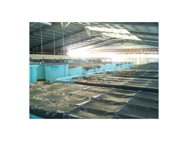 122 Rocky Point Rd, Steiglitz QLD 4207