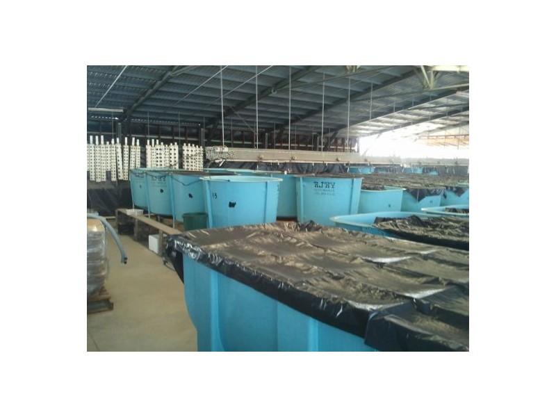 122 Rocky Point Rd, Steiglitz QLD 4207