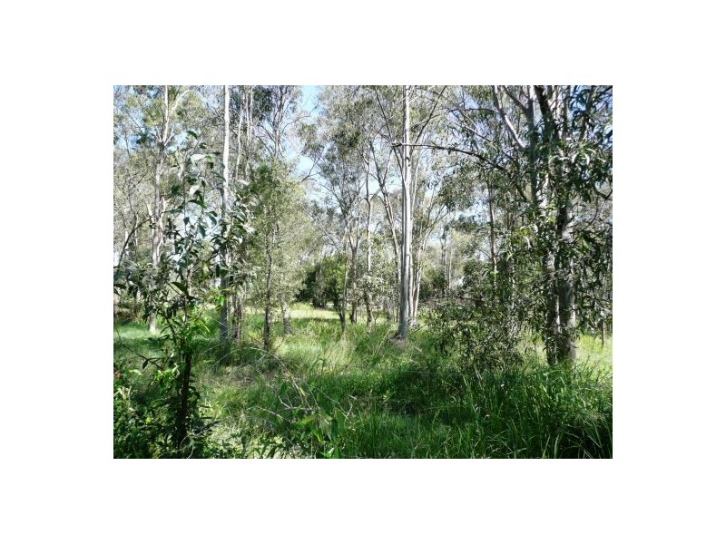 205 TEVIOT ROAD, Greenbank QLD 4124