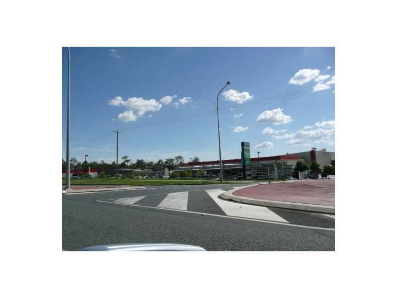 205 TEVIOT ROAD, Greenbank QLD 4124