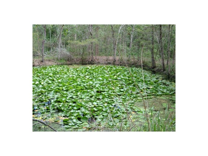 201 Lavelle Dr, Logan Village QLD 4207