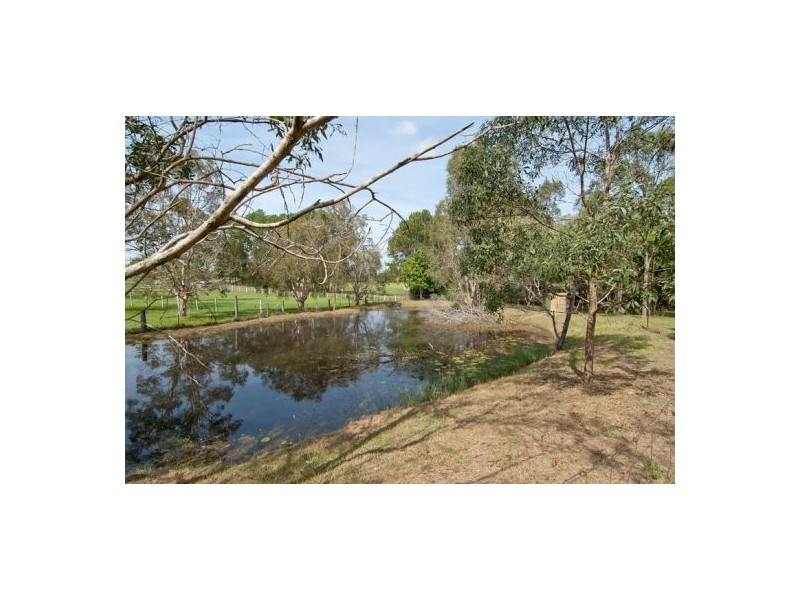 78 Rosia Rd, Park Ridge QLD 4125