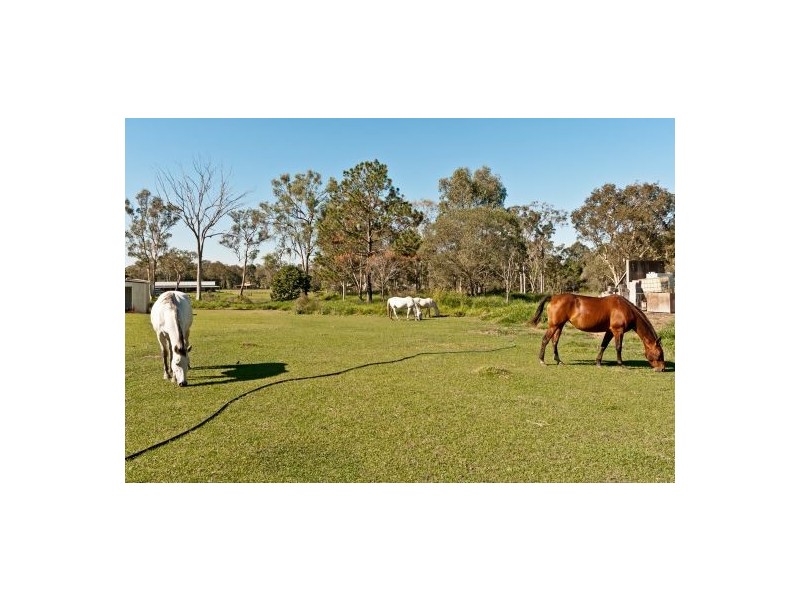 64 Laxton Rd, Pallara QLD 4110