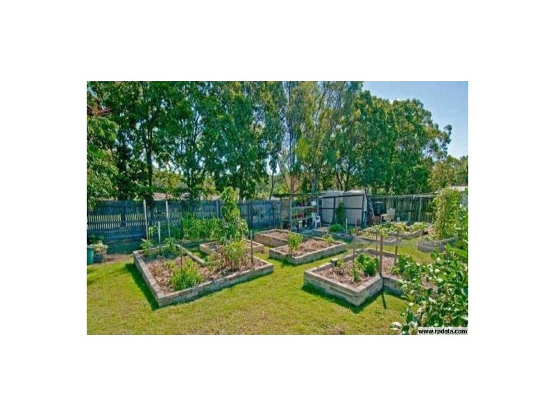 14 Prenzlau Cr, Windaroo QLD 4207