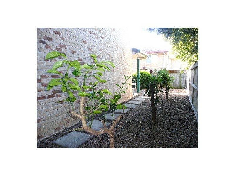 81/12 Grandchester St, Sunnybank Hills QLD 4109