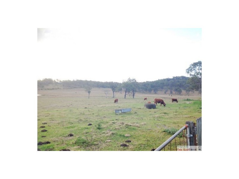 1286 Ripley Road, South Ripley QLD 4306