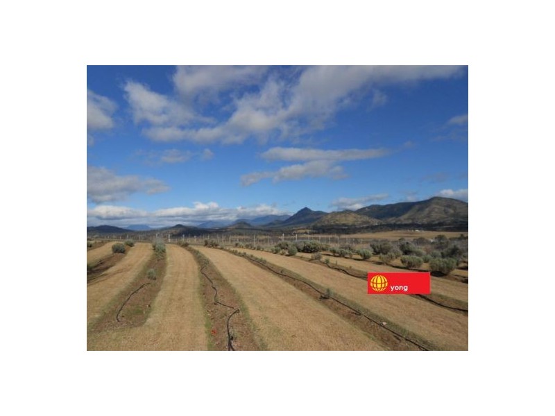 Mount Alford QLD 4310