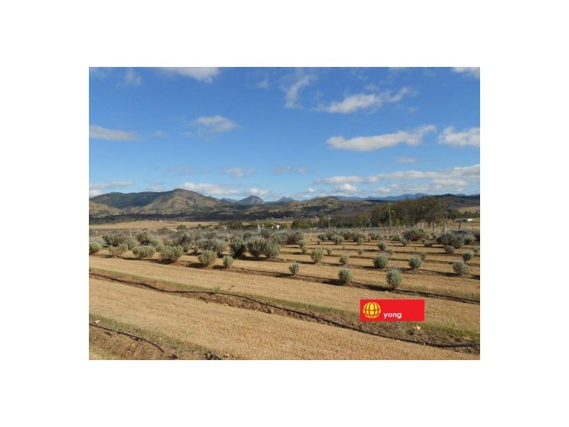 Mount Alford QLD 4310