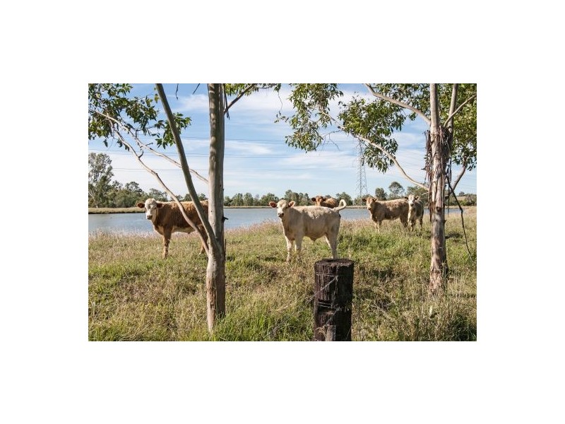 Blenheim QLD 4341