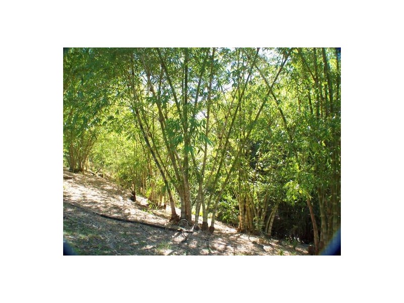 202 Thompsons Rd, Kingsholme QLD 4208