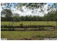 141 Koplick Rd, Park Ridge QLD 4125