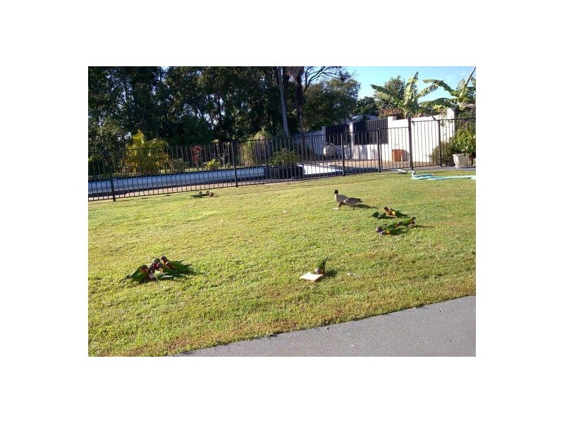 120 Mt Cotton Rd, Capalaba QLD 4157
