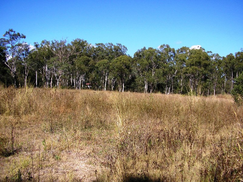 Logan Central QLD 4114