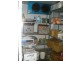 Woolloongabba QLD 4102