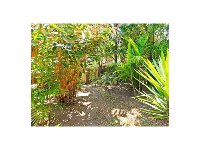 8 Tetratheca Pl, Sunnybank Hills QLD 4109