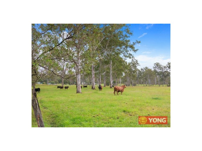 8 Humphries Road, South Maclean QLD 4280