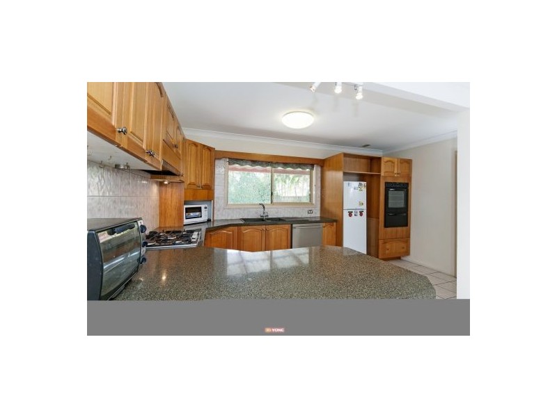 56 Shylock Cr, Sunnybank Hills QLD 4109