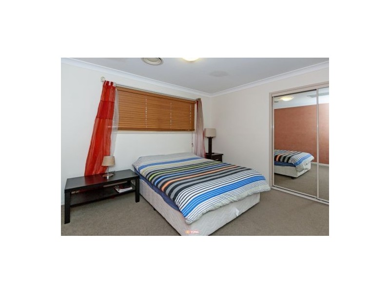 56 Shylock Cr, Sunnybank Hills QLD 4109